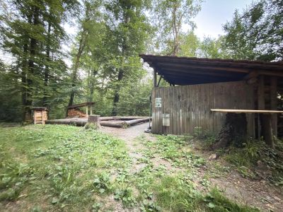 Sommer Grille 2026